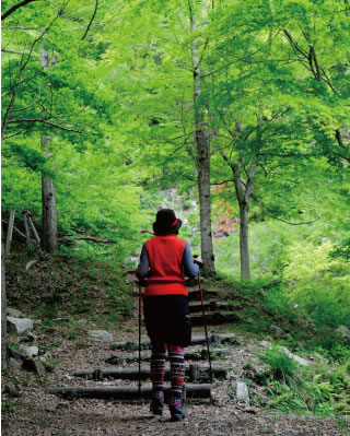 山道